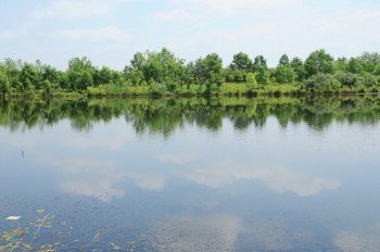 Property photo 45 - 1,025 Acres in 24 Tracts - Exellent Recreation Opportunity - Potential Building Sites - 11 Lakes & Ponds